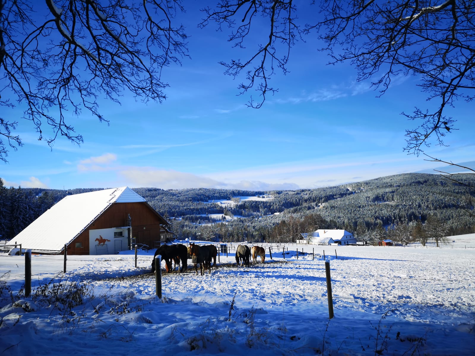 Okolí Apartmán Spa Šumava
